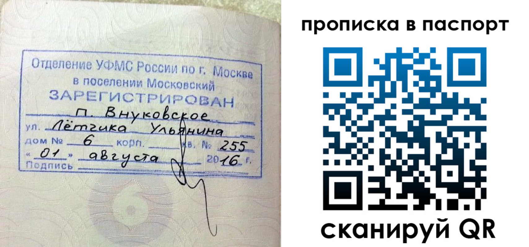 временная прописка в Каргополе